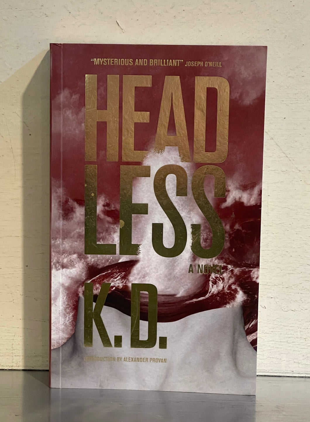 HEADLESS: A Novel K.D.