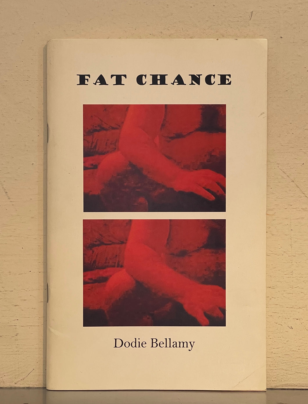 Fat Chance Dodie Bellamy