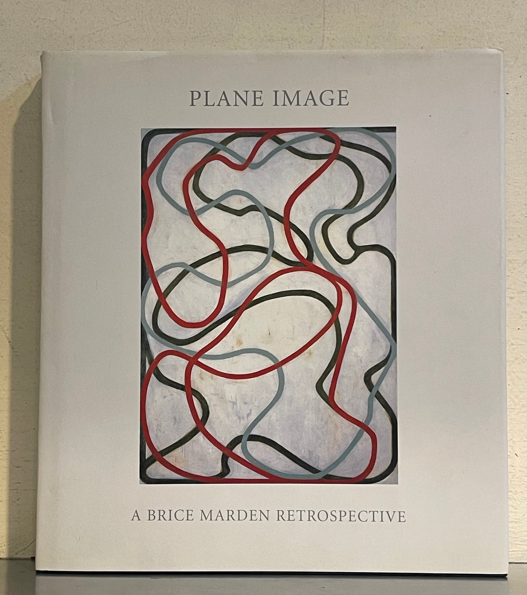 Plane Image: A Brice Marden Retrospective