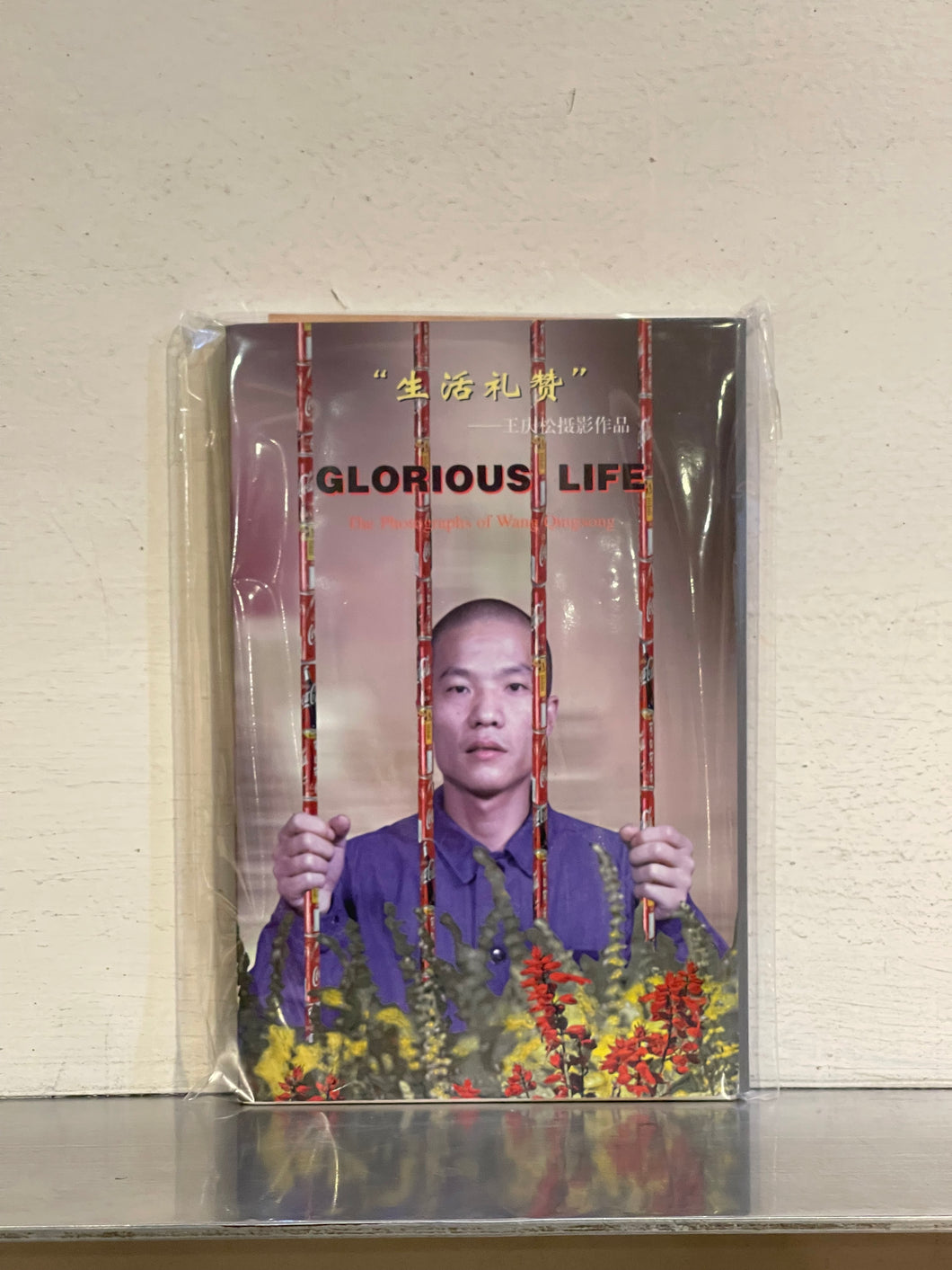 Glorious Life Wang Qingsong